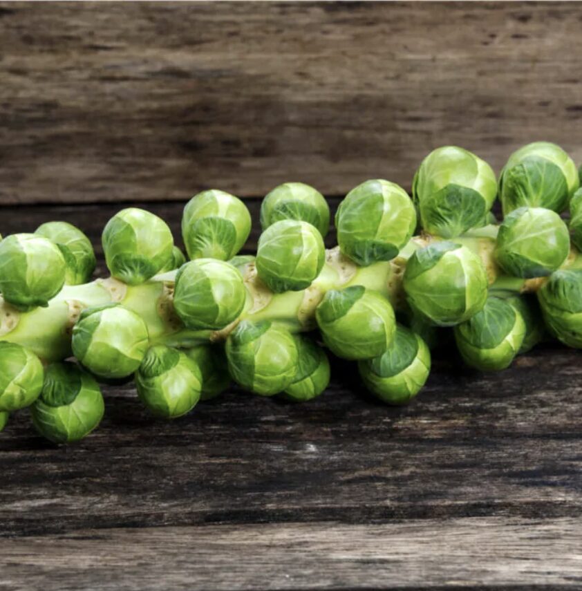 Kaip auginti Briuselio kopūstus?