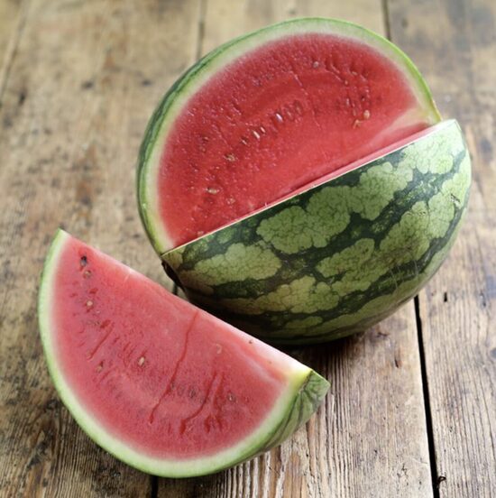 Arbūzų ir melionų daigai