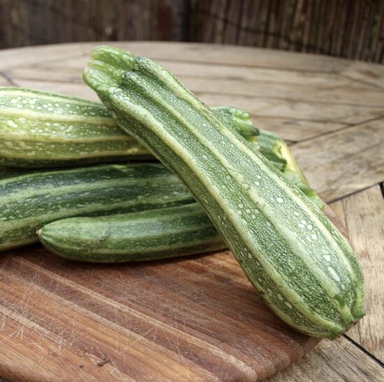 Cukinijų ir patisonų daigai