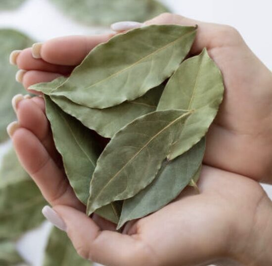 Įvairūs kiti daigai