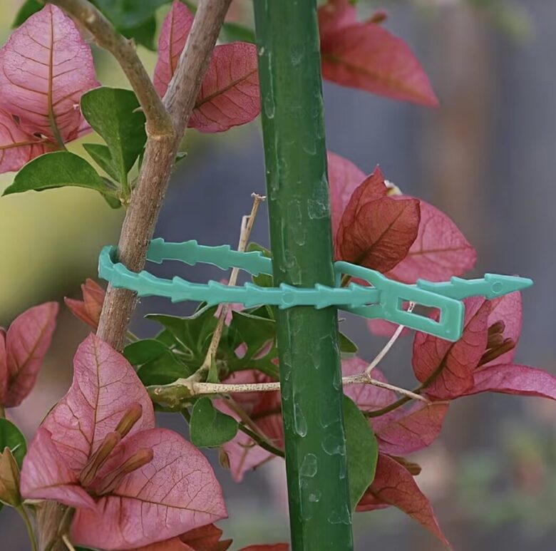 Augalų tvirtinimo prie atramų dirželiai (30, 60 vnt.)