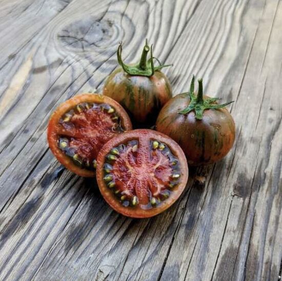 Pomidorų daigai KOZULA 24 – vidutinio aukščio, vidutiniškai ankstyvi