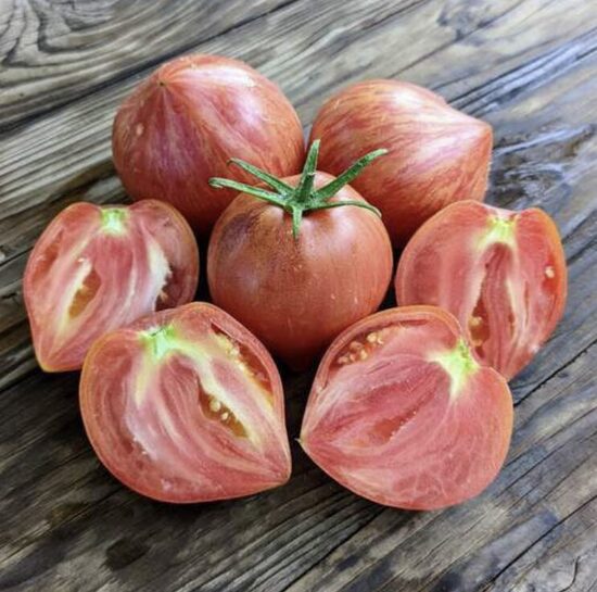 Pomidorų daigai LONG TALL SALLY – avietiniai, mėsingi, aukštaūgiai, vidutiniškai ankstyvi