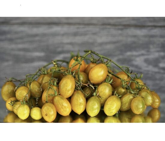 Pomidorų daigai AMBER KEYES (vyšniniai) (aukštaūgiai)