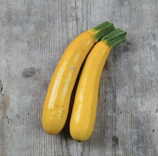 Cukinijų daigai ATENA POLKA – krūminės