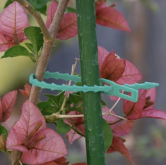 Augalų tvirtinimo prie atramų dirželiai (30, 50 vnt.)