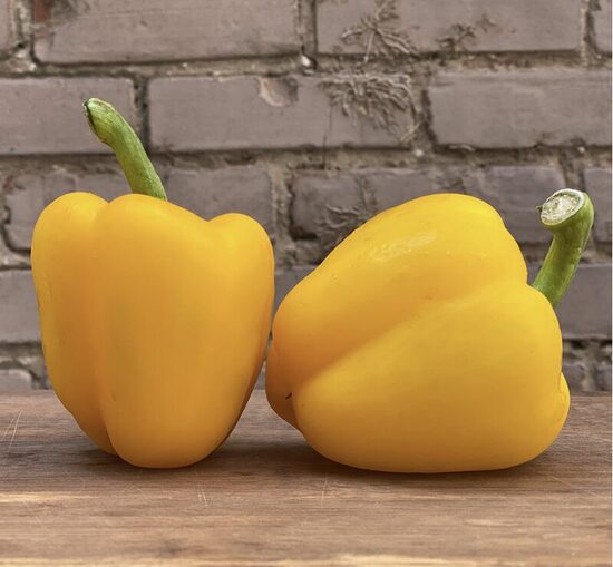 Paprikų daigas YELLOW CALIFORNIA (saldžios) (geltonos)