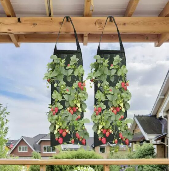 Pakabinamas sodinimo maišas braškėms, žemuogėms, gėlėms ir prieskoninėms žolelėms