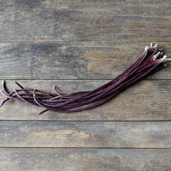 Pupelių daigai RED NODDLE