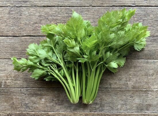 Saliero lapinio daigai