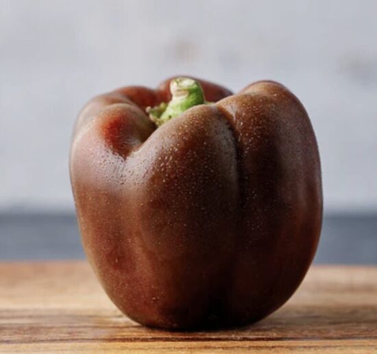 Paprikų daigas SWEET CHOCOLATE (saldžios) (šokoladinės)