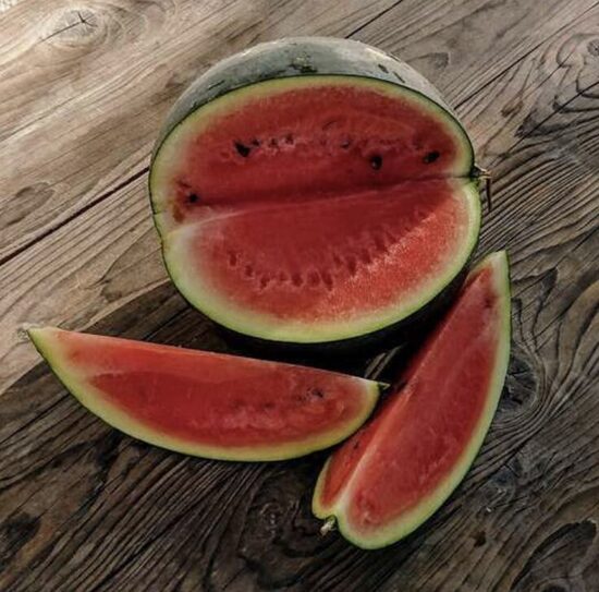 Arbūzų daigai SUGAR BABY