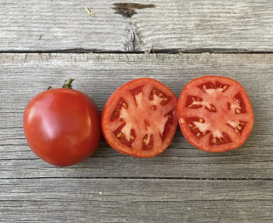 Pomidorų daigai TOLSTOI – aukštaūgiai, ankstyvi