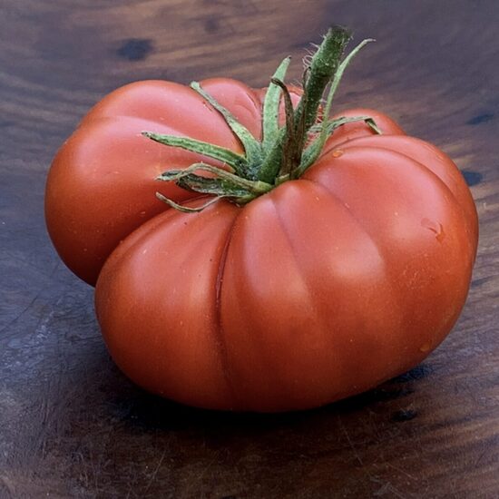 Pomidorų daigai MARMANDE – mėsingi, aukštaūgiai, vidutiniškai ankstyvi