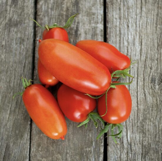 Pomidorų daigaI SAN MARZANO – slyviniai, aukštaūgiai, vidutiniškai ankstyvi