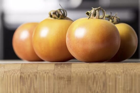 Pomidorų daigai VOLSHEBNIK – vidutinio aukščio, vidutiniškai ankstyvi