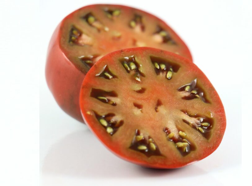 JUODASIS PRINCAS (juodas KUMATO tipo)