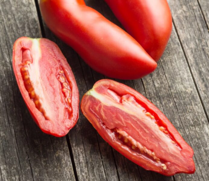 Pomidorų daigas SAN MARZANO (slyviniai) (aukštaūgiai)
