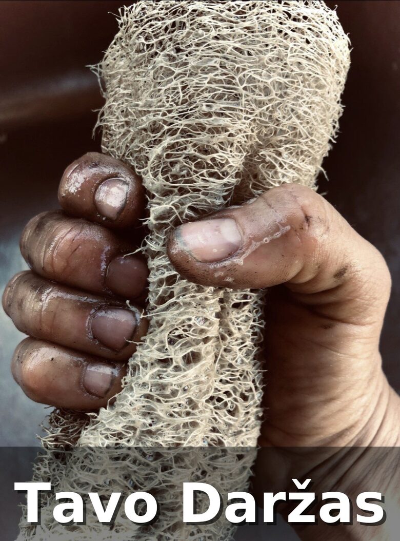 Plaušenės daigai - Tavo Daržas