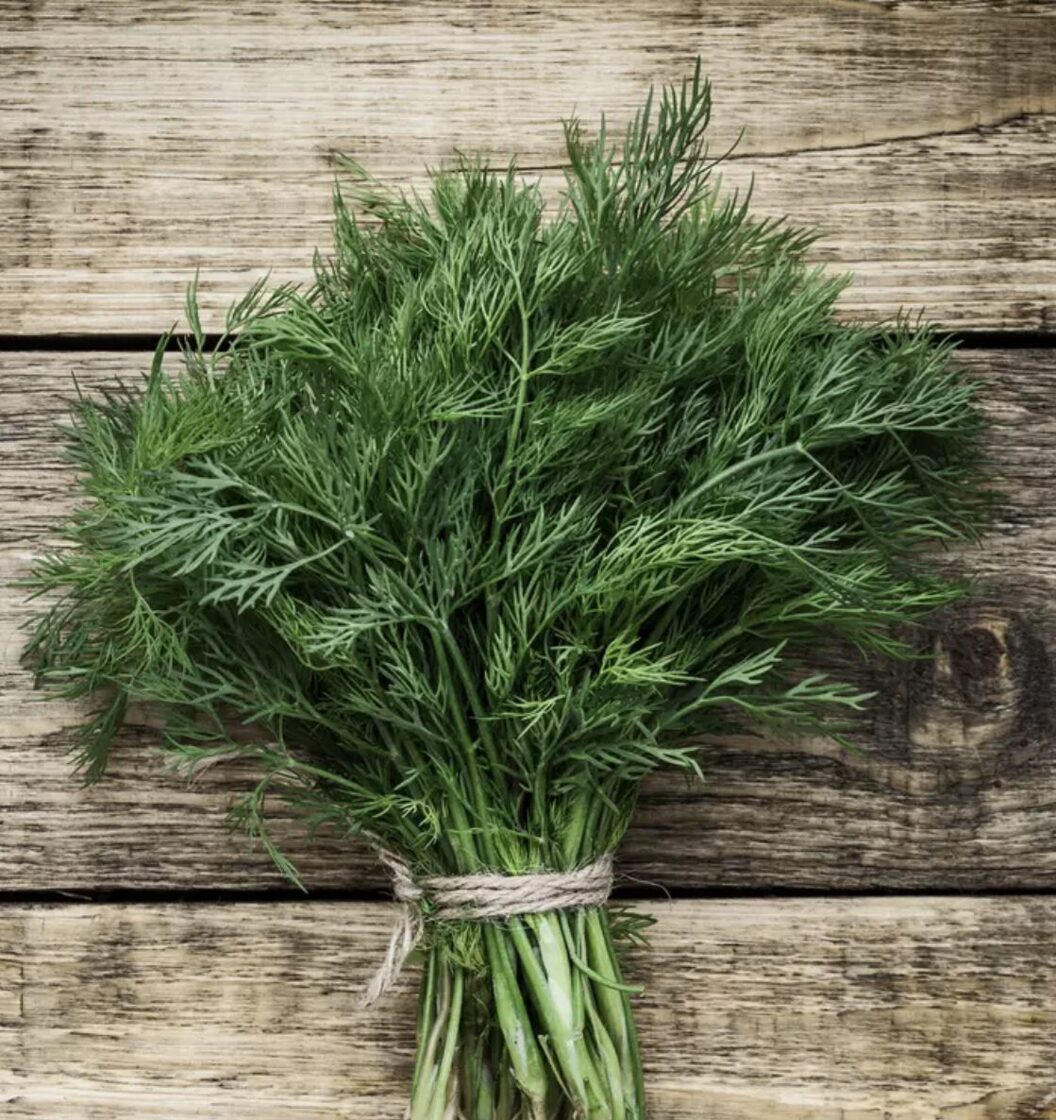 Kaip auginti krapus?