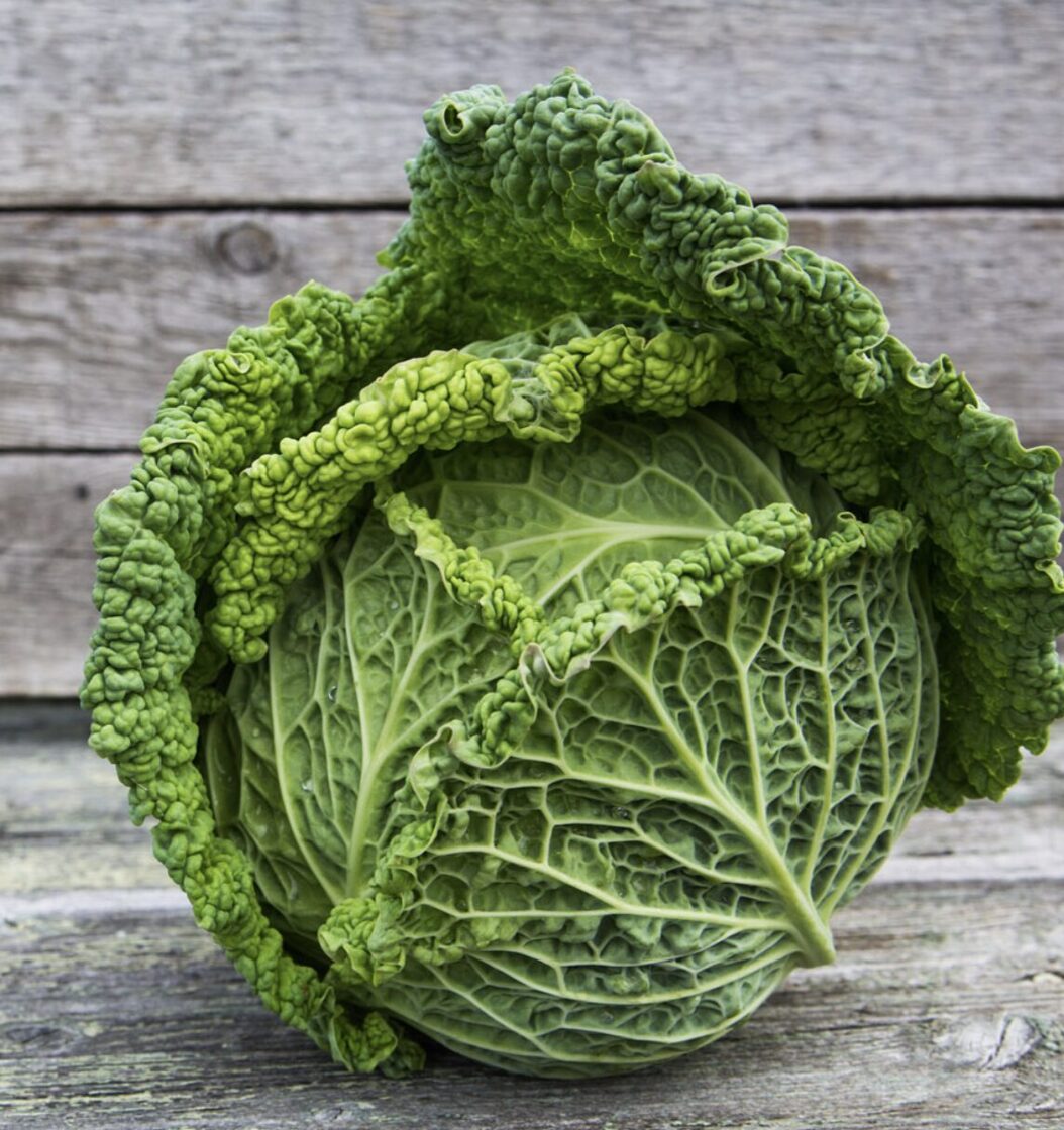 Lapinių daržoviu ir prieskonių tręšimas